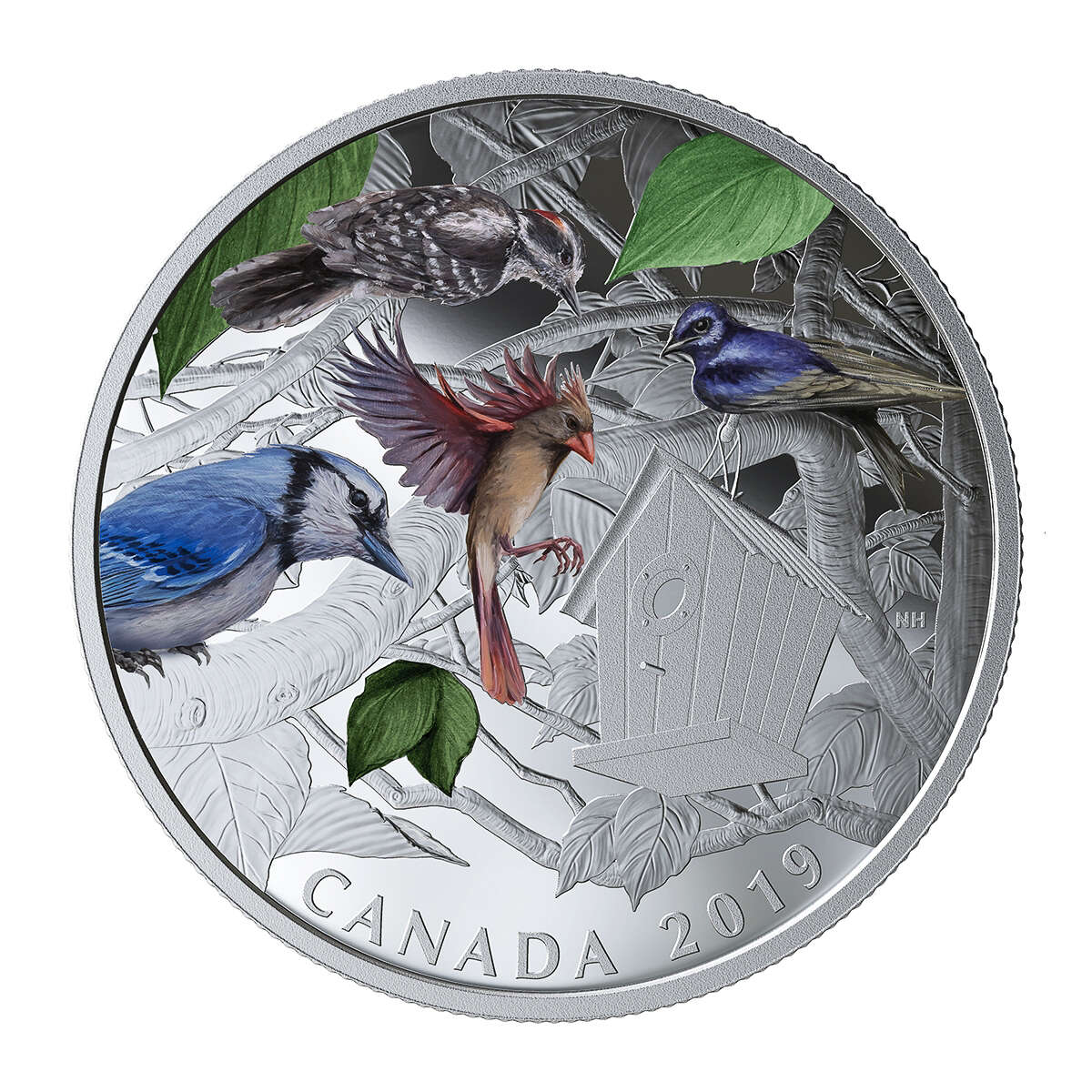 2019 $30 Birds in the Backyard - Pure Silver Coin Default Title