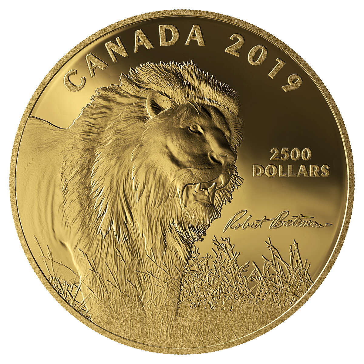 2019 $2500 Into The Light - Lion: Pure Gold Coin