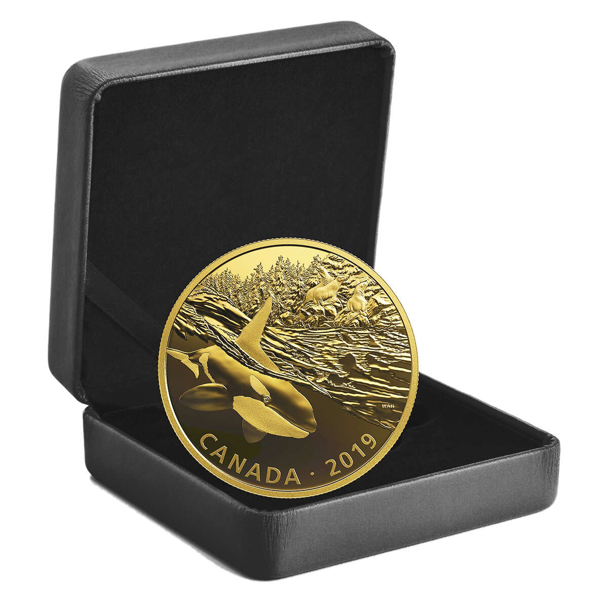 2019 $30 Golden Reflections: Predator and Prey – Orca and Sea Lions in SUB CASE see series below Default Title