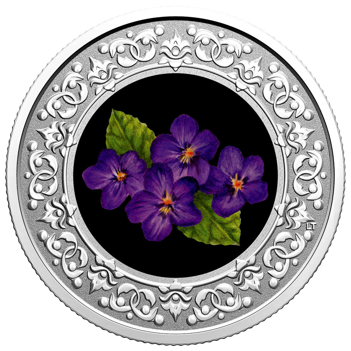 2020 $3 Floral Emblems of Canada - New Brunswick: Purple Violet - Pure Silver Coin Default Title