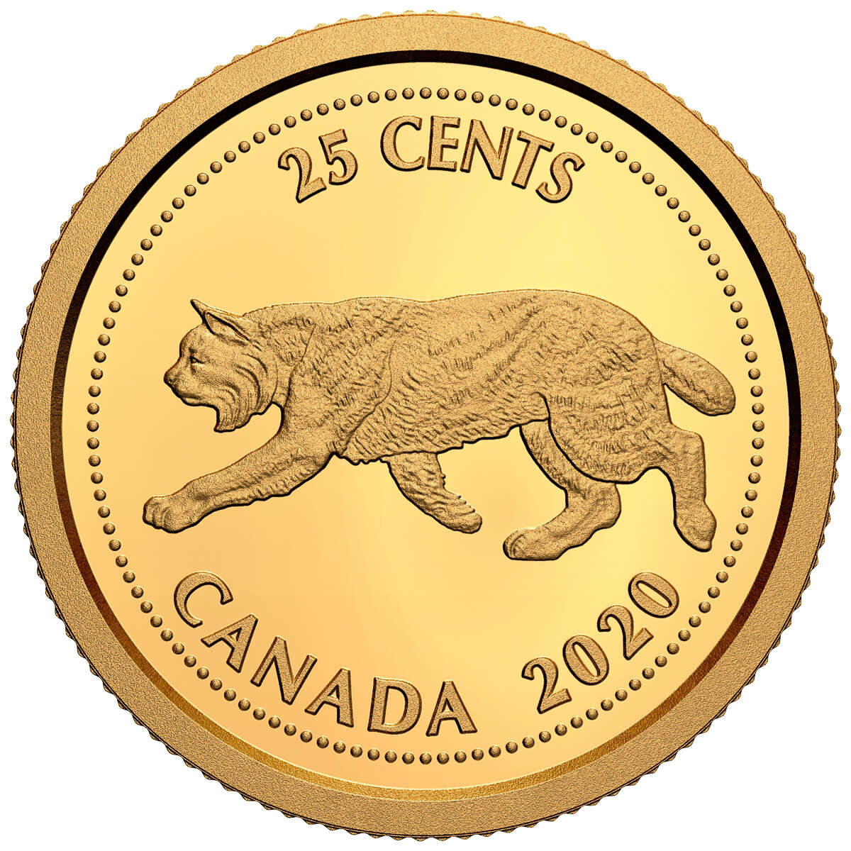 2020 Tribute to Alex Colville: Bobcat - 1/10th oz. Pure Gold Coin Default Title