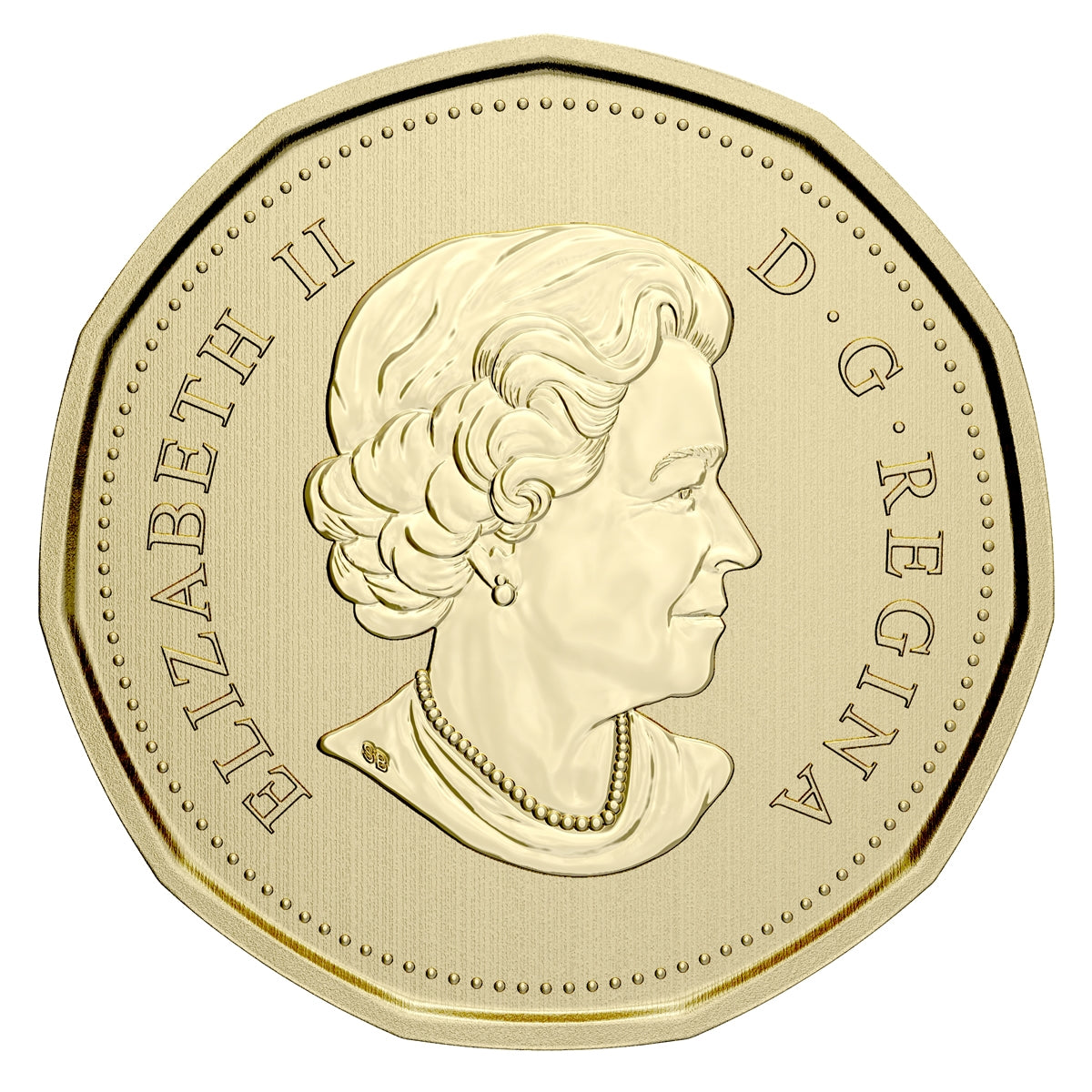 2021 Endangered Species: Blanding's Turtle - Specimen Set