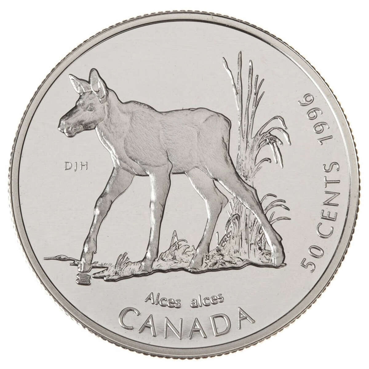 1996 50c Little Wild Ones Series - Sterling Silver Coin Set Default Title