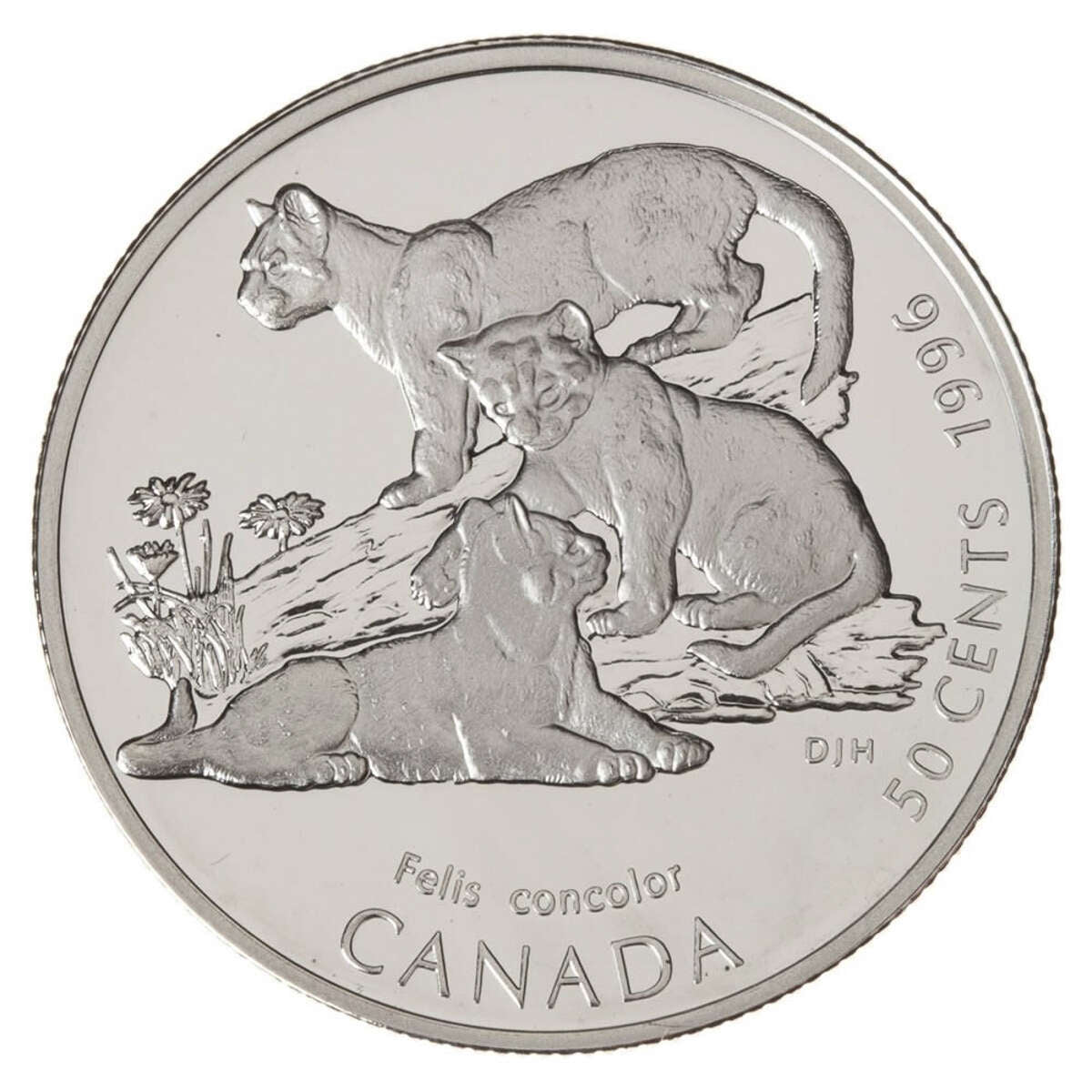 1996 50c Little Wild Ones Series - Sterling Silver Coin Set Default Title