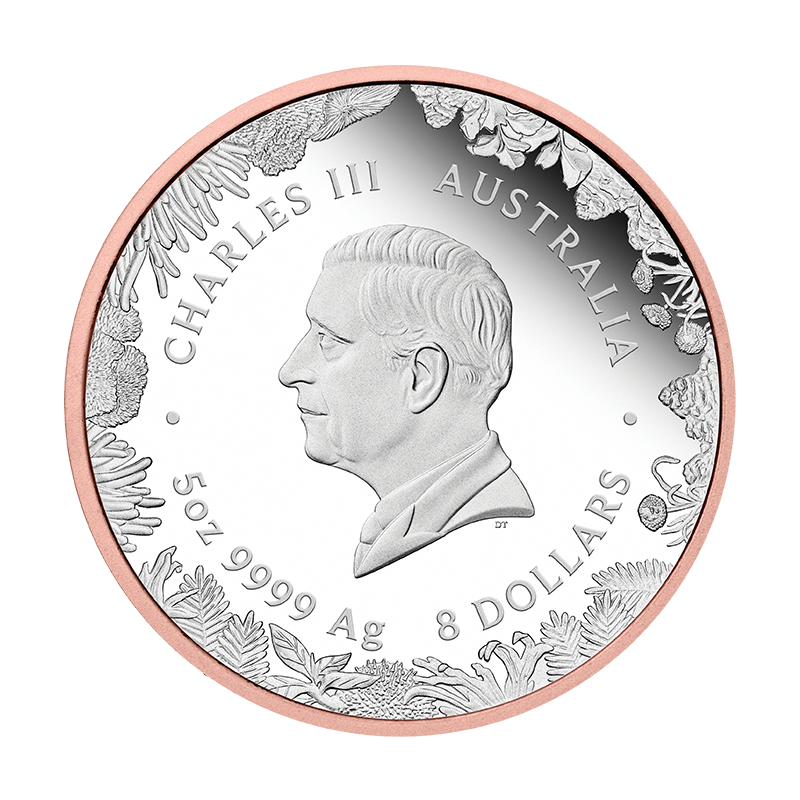 2026 $8 Wonders of Australia: The Outback Kangaroo - Pure Silver Coin
