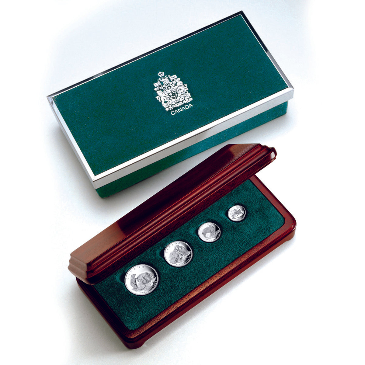 2004 Grizzly Bear Proof Platinum Set