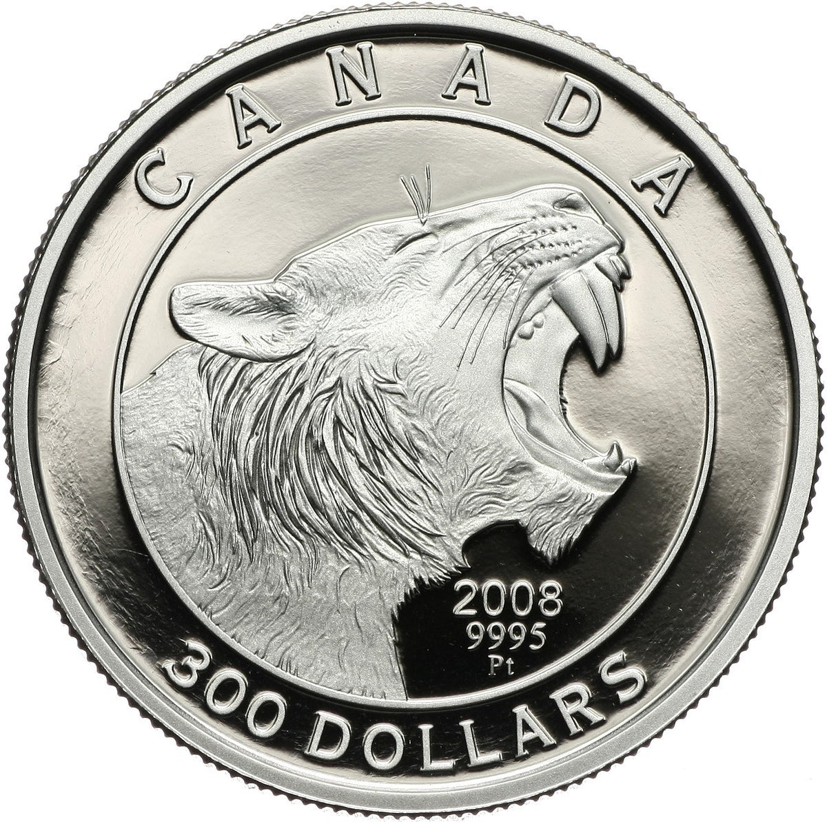 2008 $300 Scimitar Cat - Pure Platinum Coin