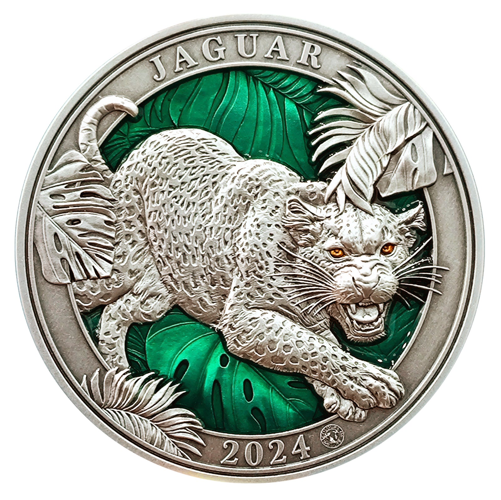 2024 $5 Colours of Wildlife: Jaguar - Pure Silver Coin