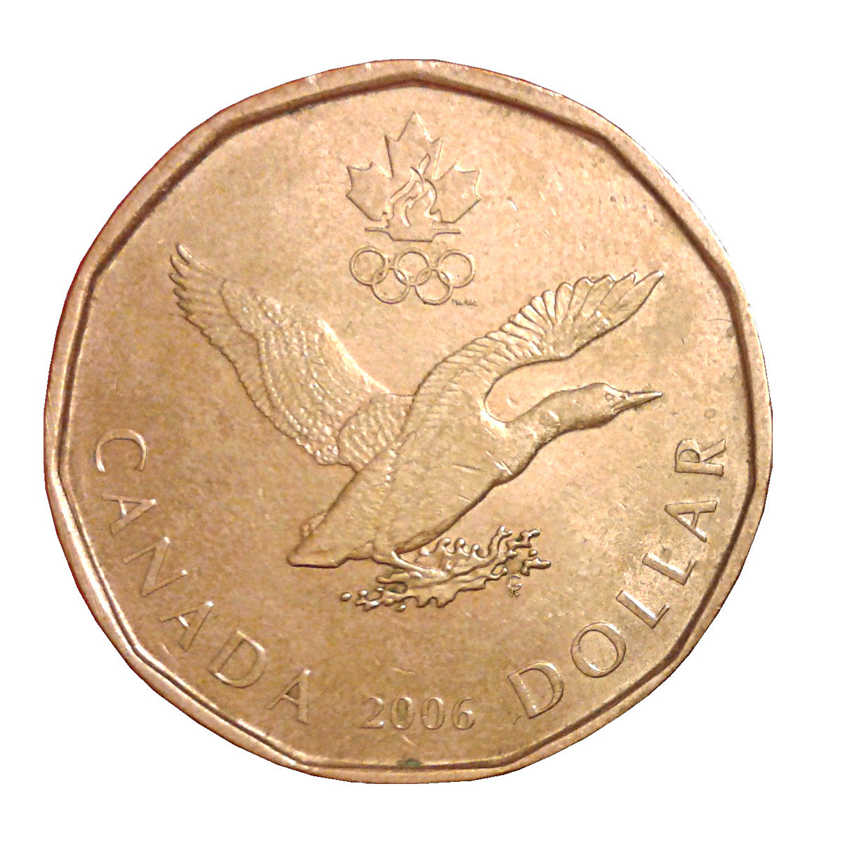 2006 $1 Lucky Loonie Roll