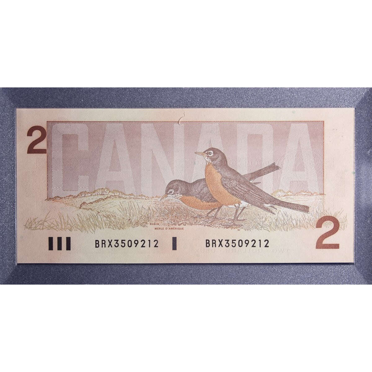 1996 $2 Proof Coin and Banknote Set