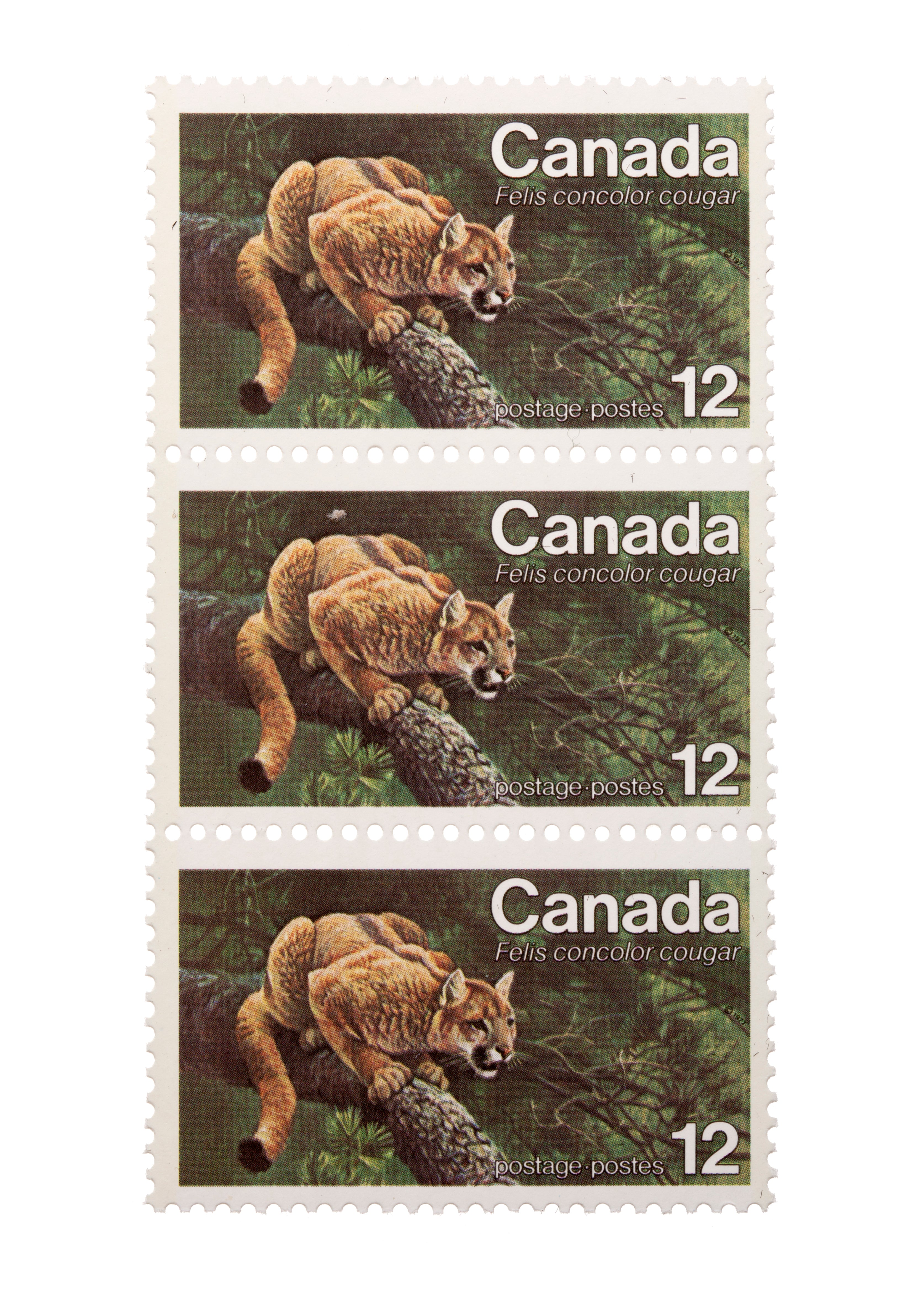 2012 $5 Cougar - 1 oz. Pure Silver Coin and Stamp Set