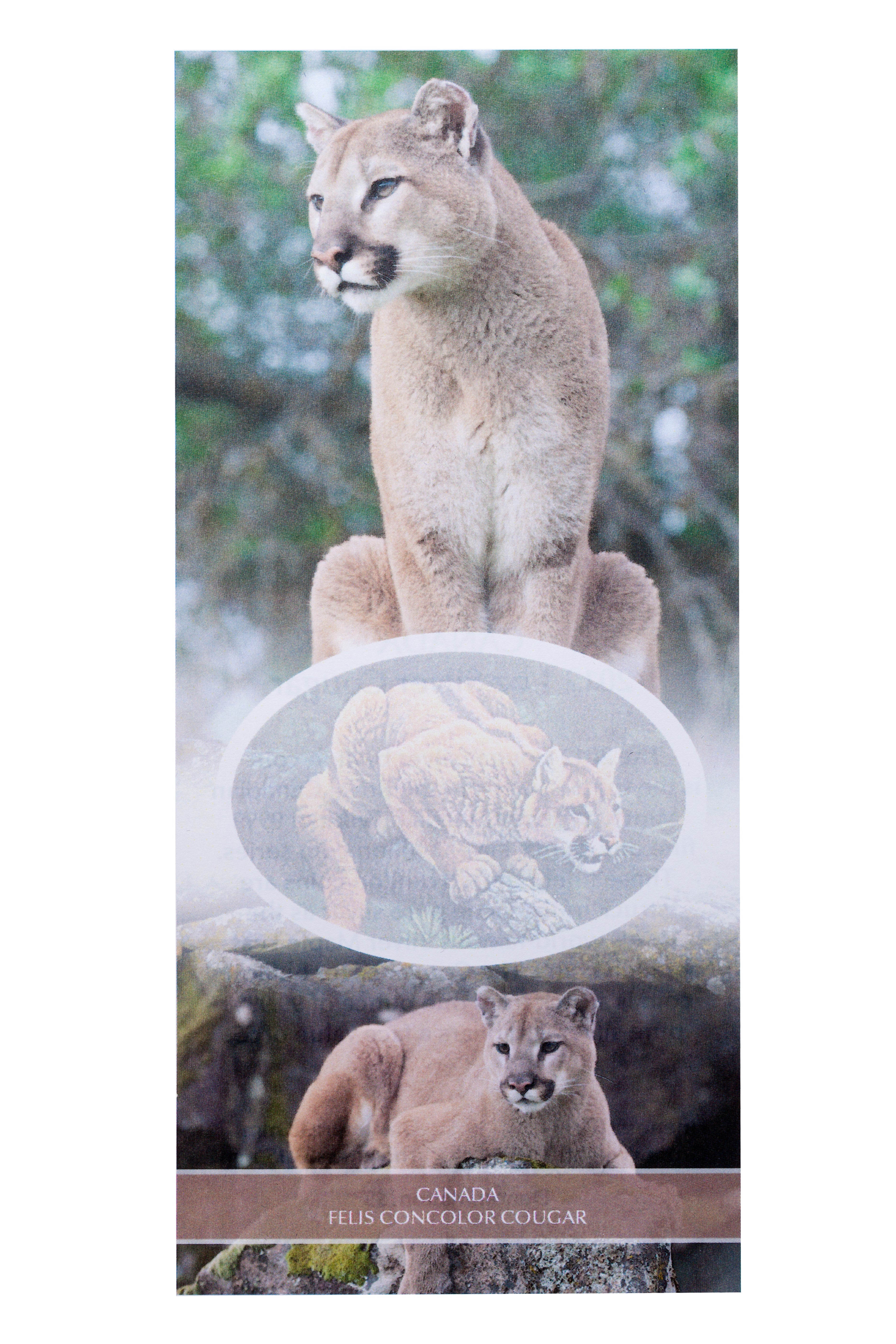 2012 $5 Cougar - 1 oz. Pure Silver Coin and Stamp Set