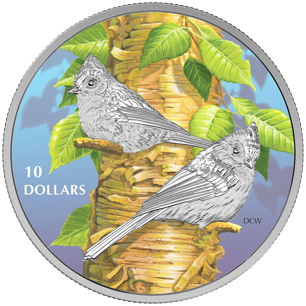 2017 $10 Birds Among Nature's Colours - 5 Coin Pure Silver Set