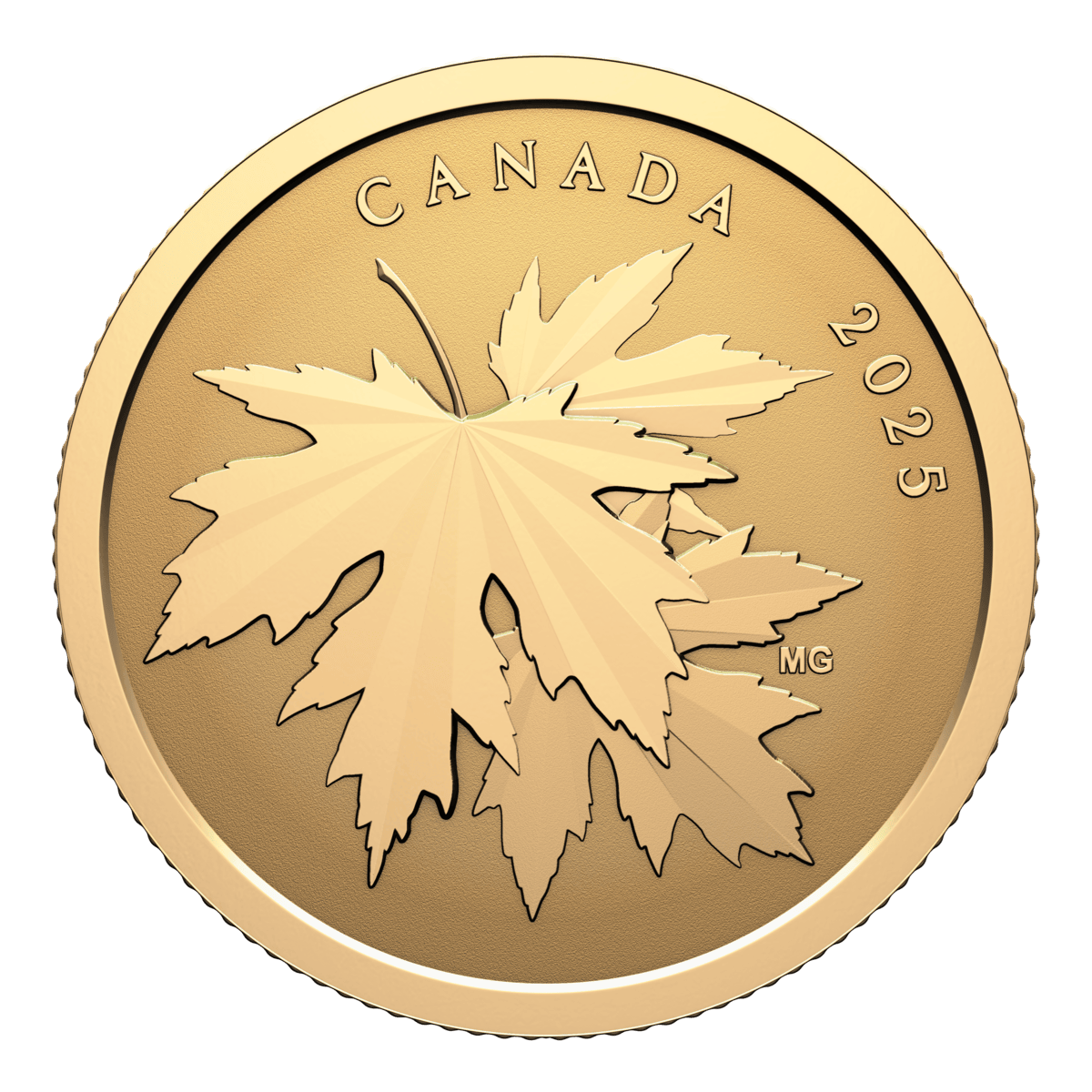 2025 $100 Gleaming Maple Leaves - Pure Gold Coin