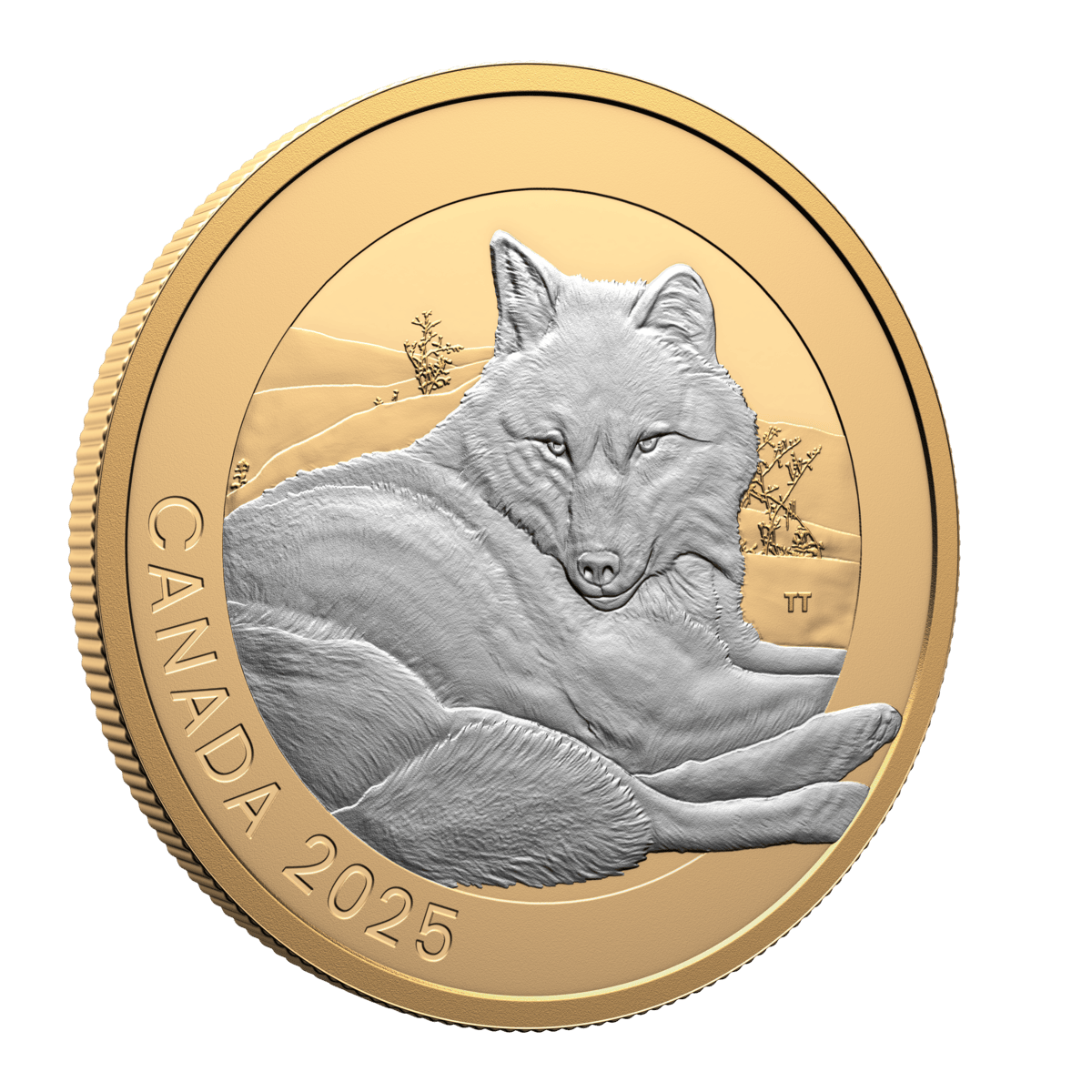 2025 $20 Animal Portraits: Grey Wolf - Pure Silver Coin