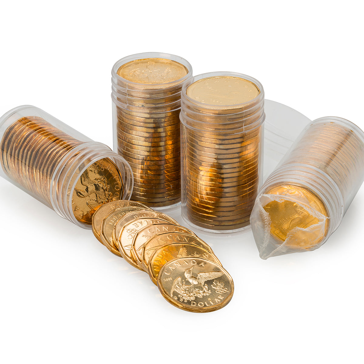 Loon Dollar Coin Basics - Brilliant Uncirculated Coin Rolls