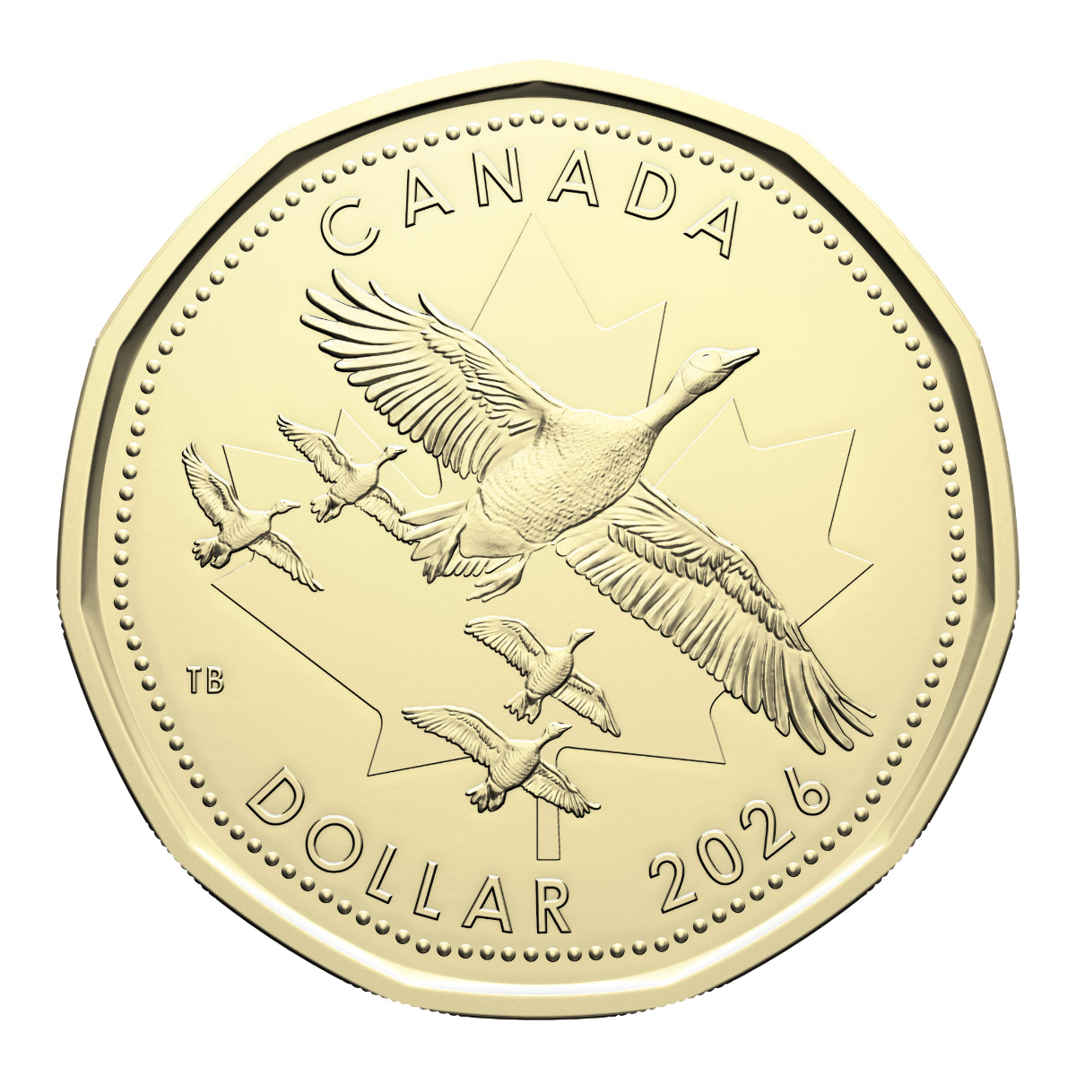 2026 O Canada Gift Set