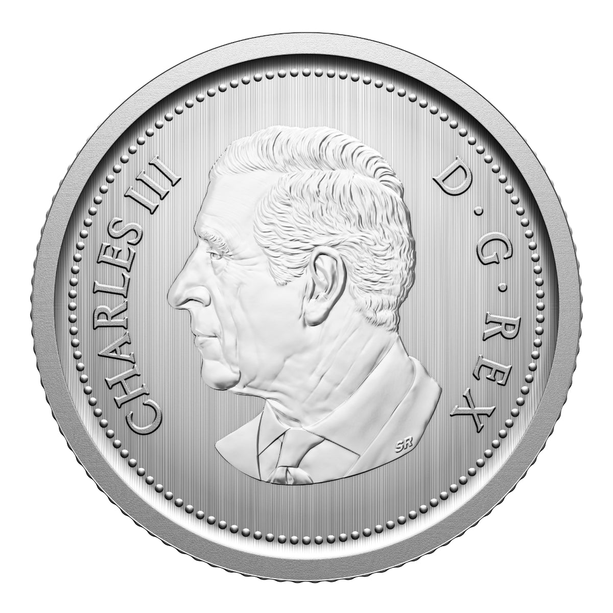 2026 Conservation Stories: Barn Owl - Specimen Set