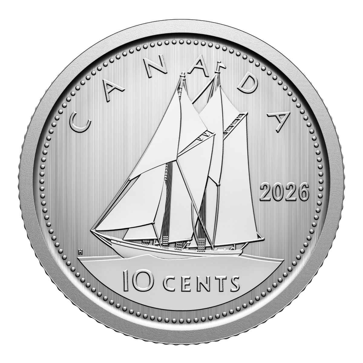 2026 Conservation Stories: Barn Owl - Specimen Set