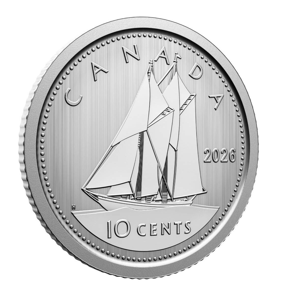 2026 Conservation Stories: Barn Owl - Specimen Set