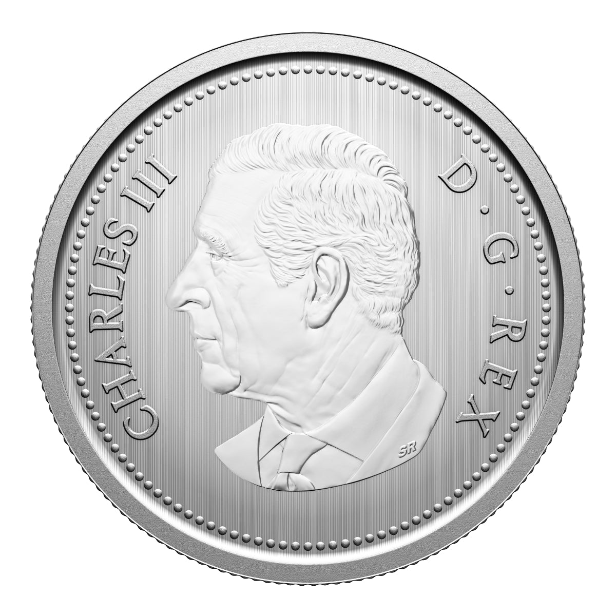 2026 Conservation Stories: Barn Owl - Specimen Set