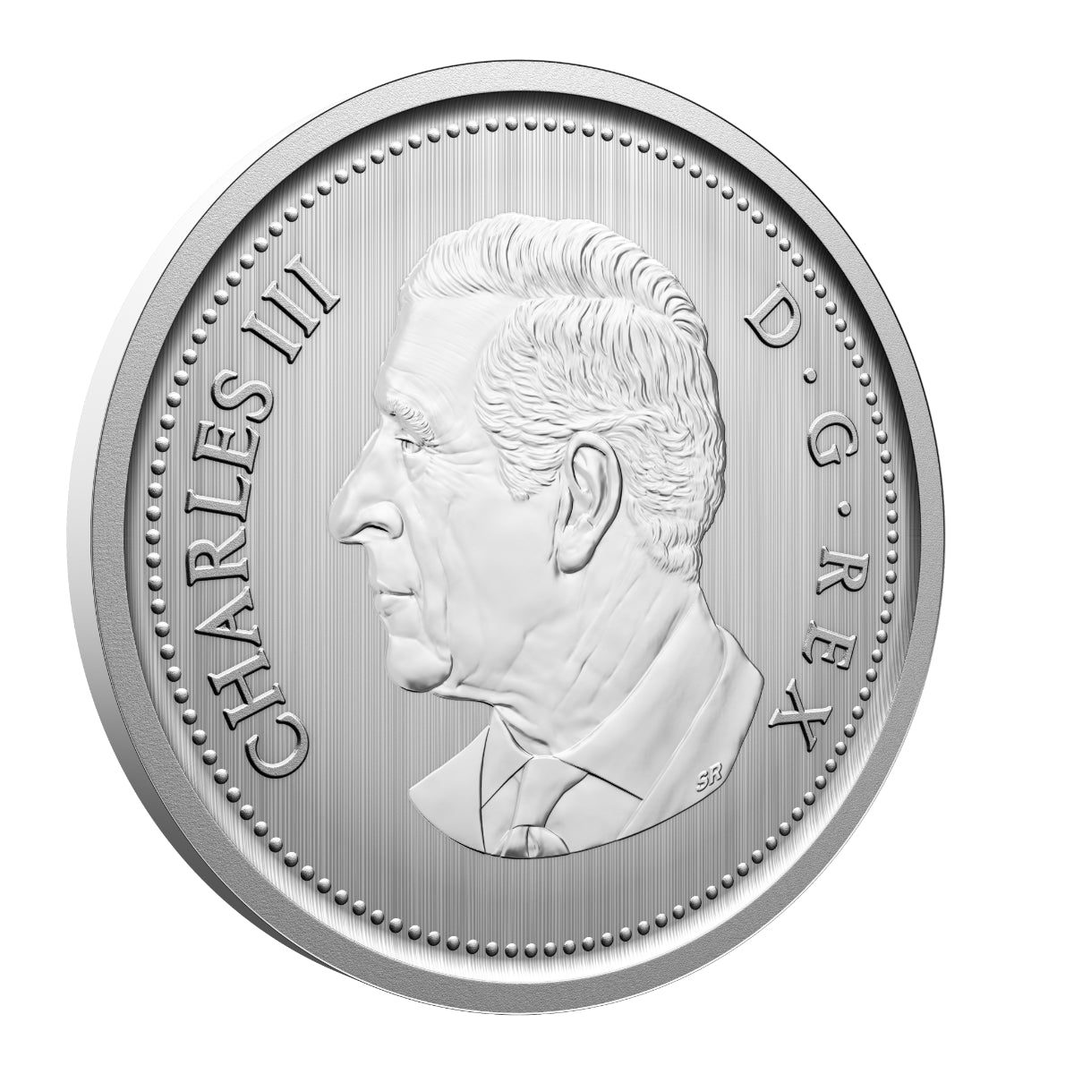 2026 Conservation Stories: Barn Owl - Specimen Set