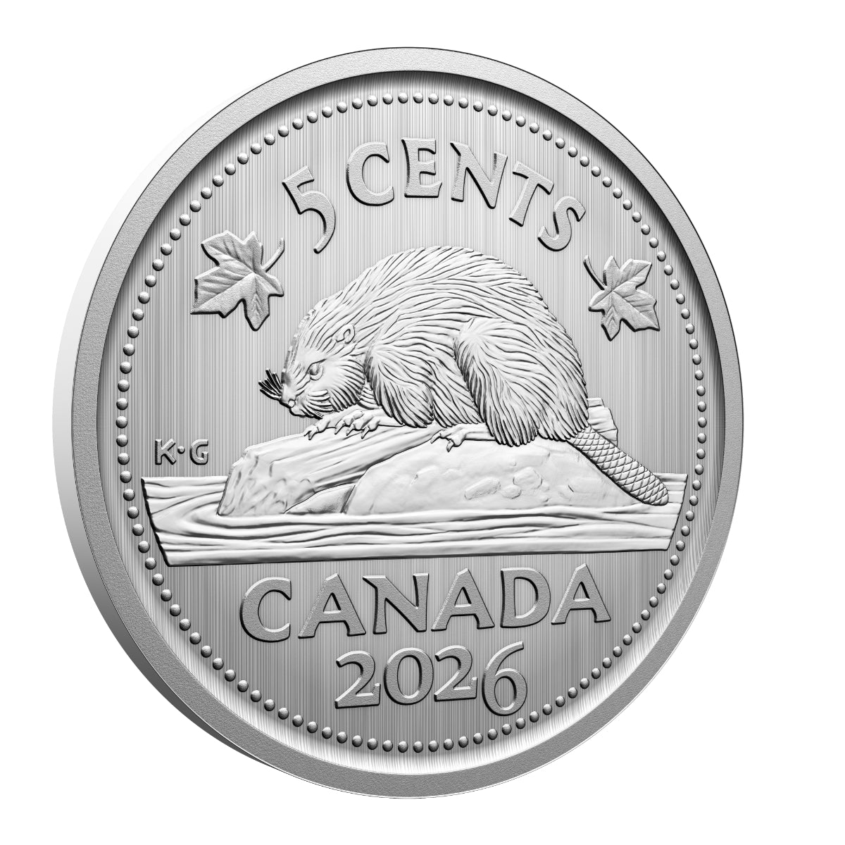 2026 Conservation Stories: Barn Owl - Specimen Set