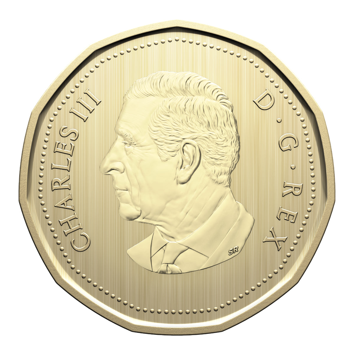 2026 Conservation Stories: Barn Owl - Specimen Set