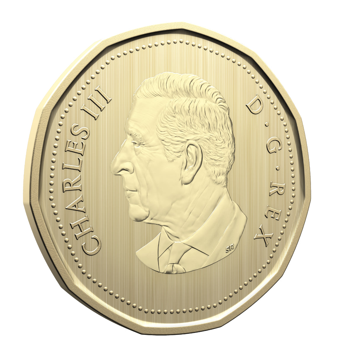 2026 Conservation Stories: Barn Owl - Specimen Set