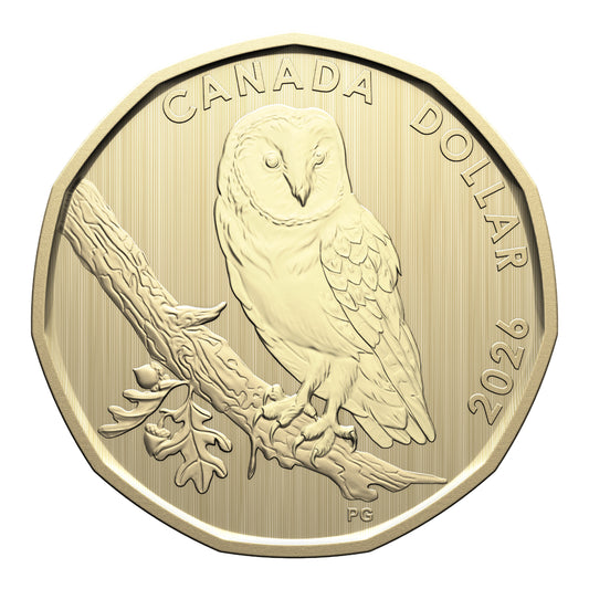 2026 Conservation Stories: Barn Owl - Specimen Set