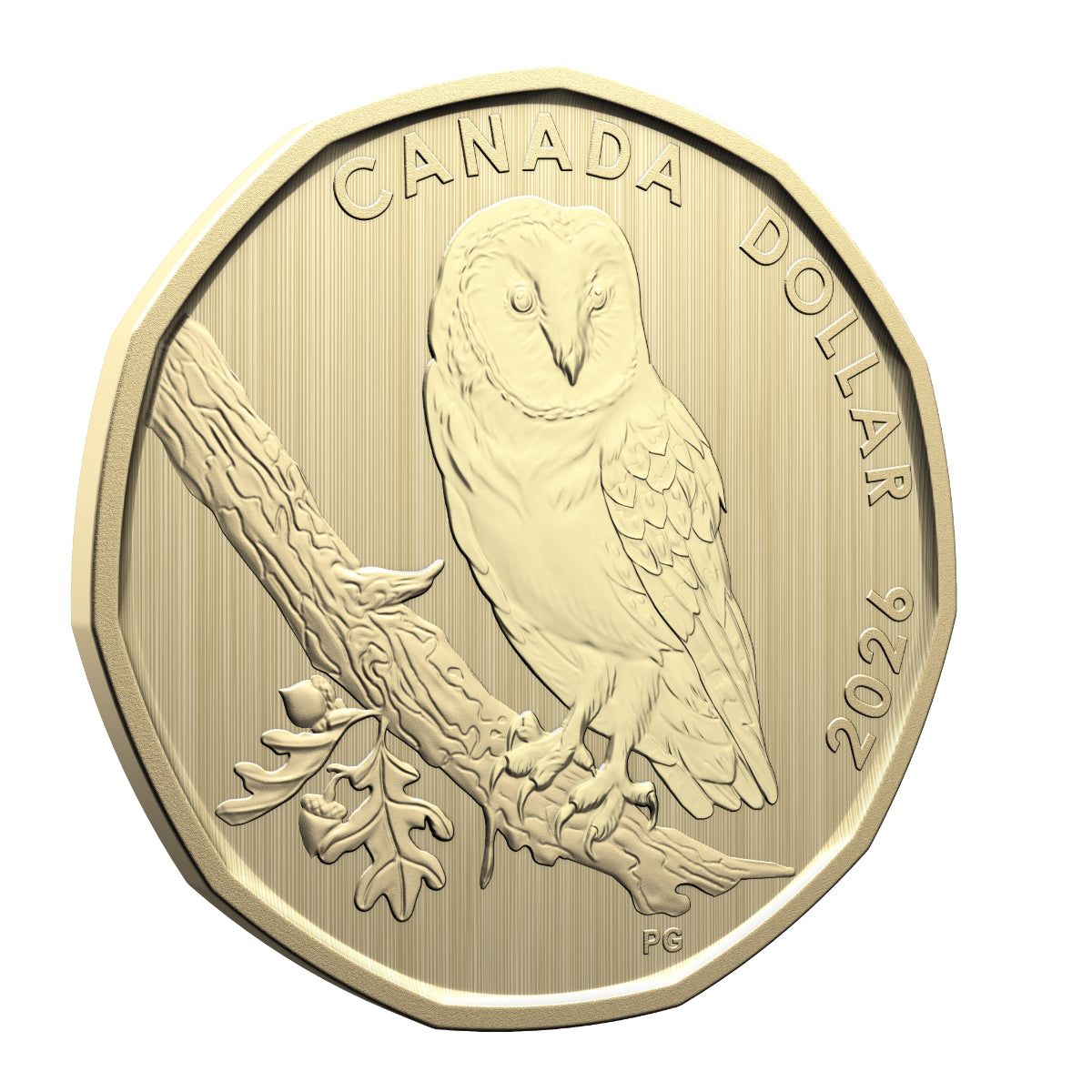 2026 Conservation Stories: Barn Owl - Specimen Set