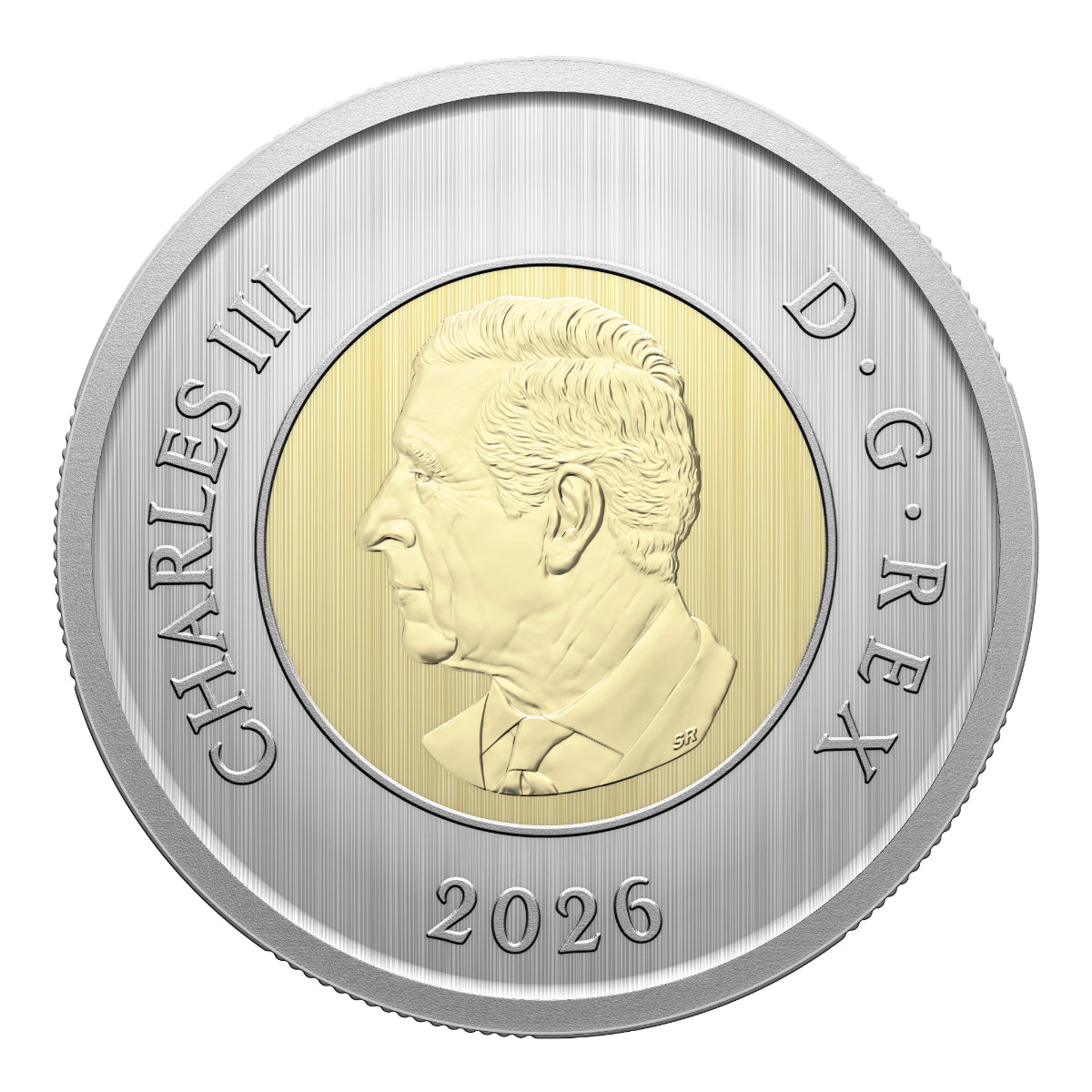 2026 Conservation Stories: Barn Owl - Specimen Set