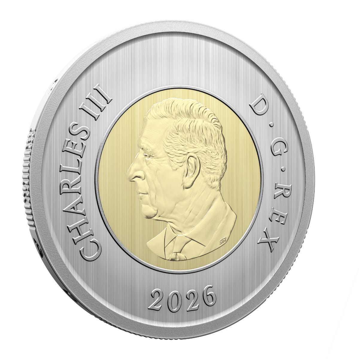 2026 Conservation Stories: Barn Owl - Specimen Set