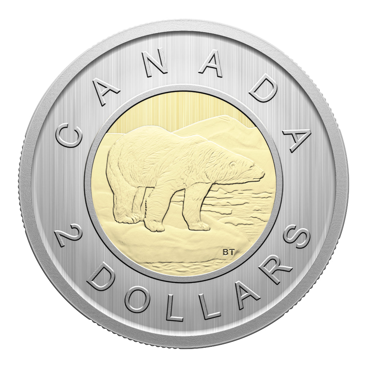 2026 Conservation Stories: Barn Owl - Specimen Set