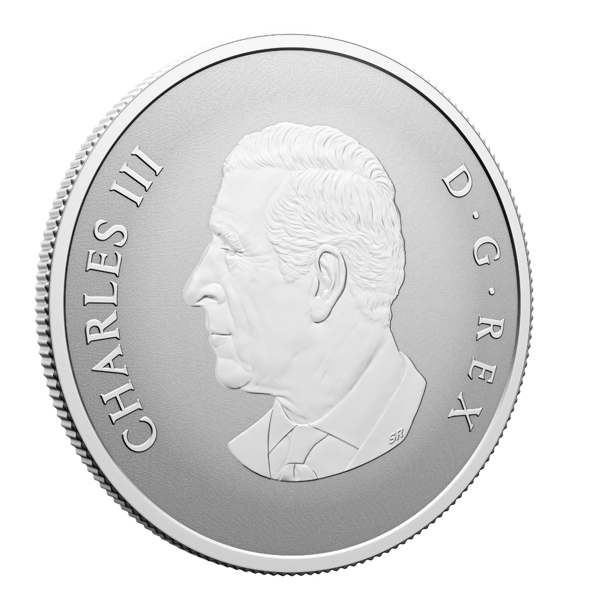 2026 $10 Welcome to the World - Pure Silver Coin