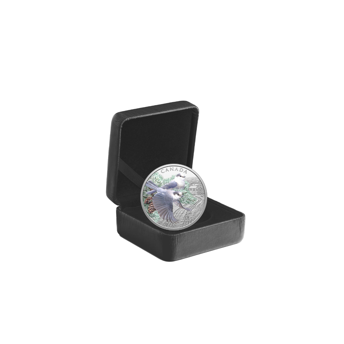 2026 $20 Colourful Birds: Canada Jays - Pure Silver Coin