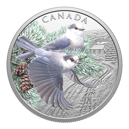2026 $20 Colourful Birds: Canada Jays - Pure Silver Coin