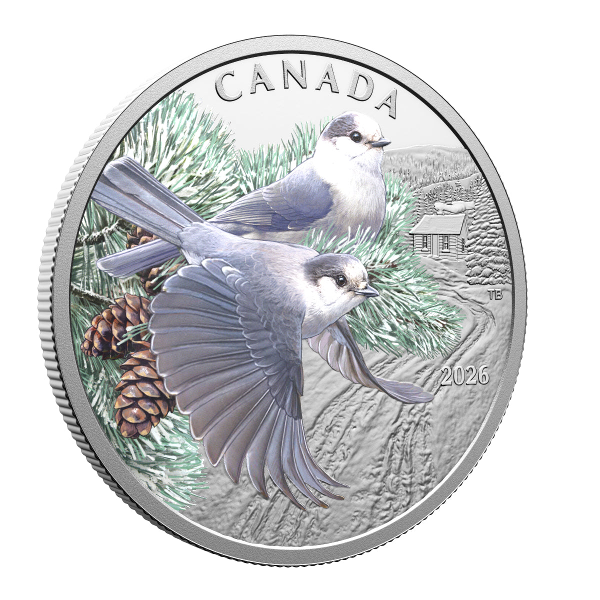 2026 $20 Colourful Birds: Canada Jays - Pure Silver Coin