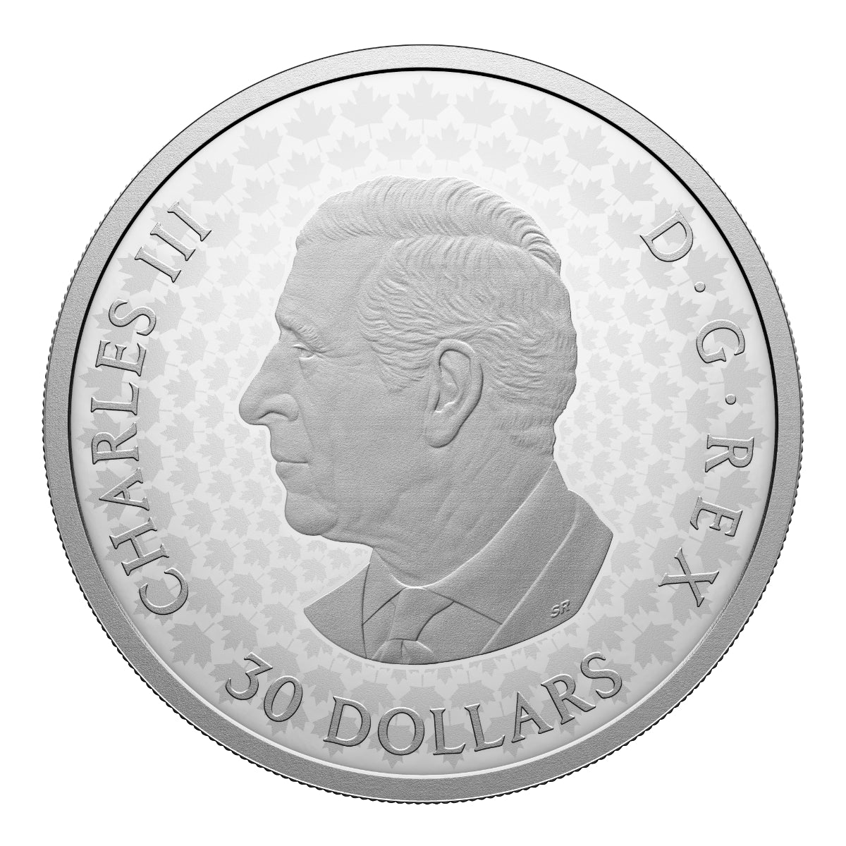 2026 $30 Precious Maple Leaves - Pure Silver Coin