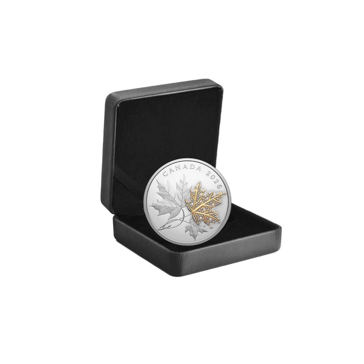 2026 $30 Precious Maple Leaves - Pure Silver Coin