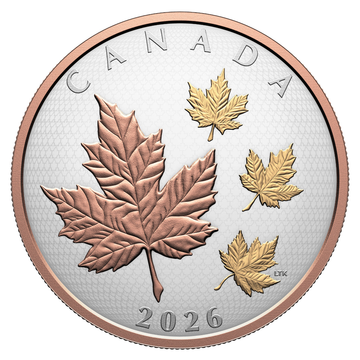 2026 $50 Maple Leaves in Motion - Pure Silver Coin
