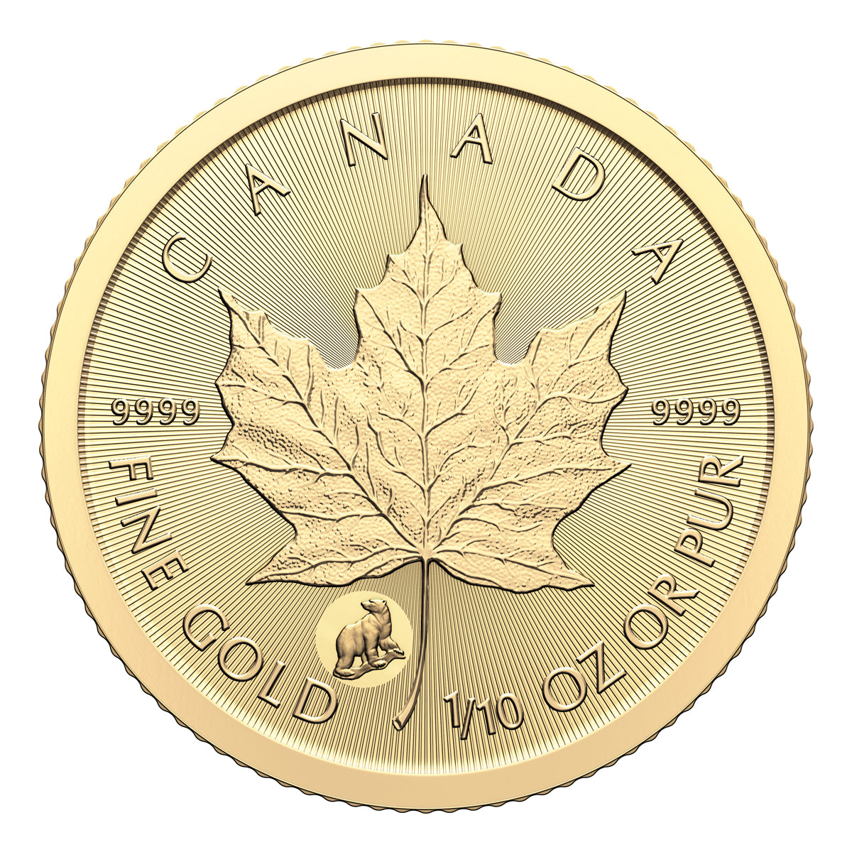 2024 $5 Treasured Gold Maple Leaf First Strikes: Polar Bear Privy Mark - Pure Gold Premium Bullion Coin