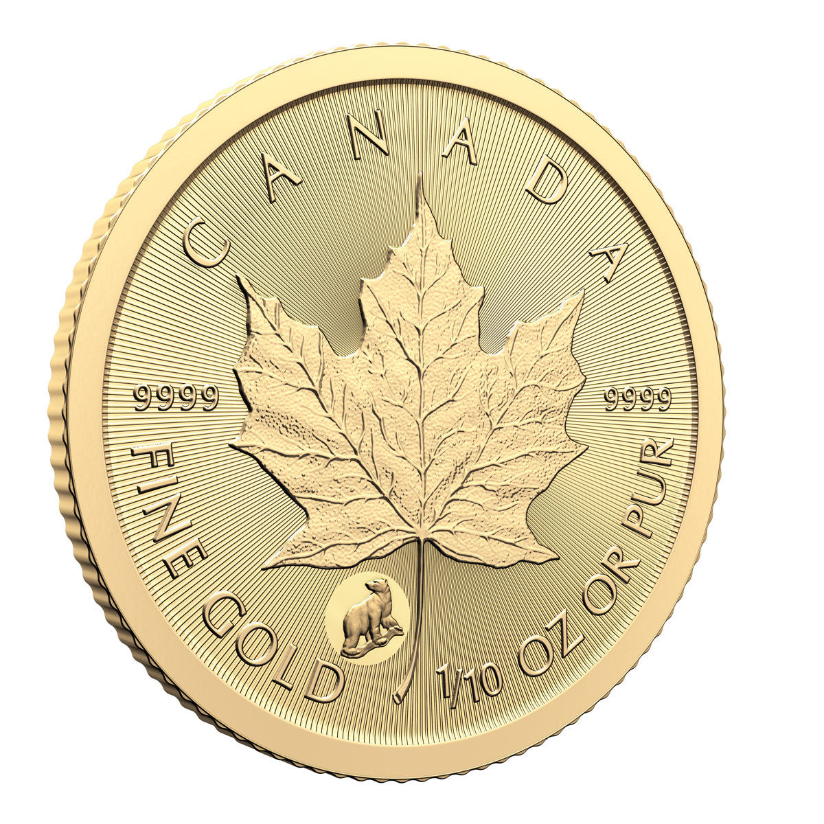 2024 $5 Treasured Gold Maple Leaf First Strikes: Polar Bear Privy Mark - Pure Gold Premium Bullion Coin