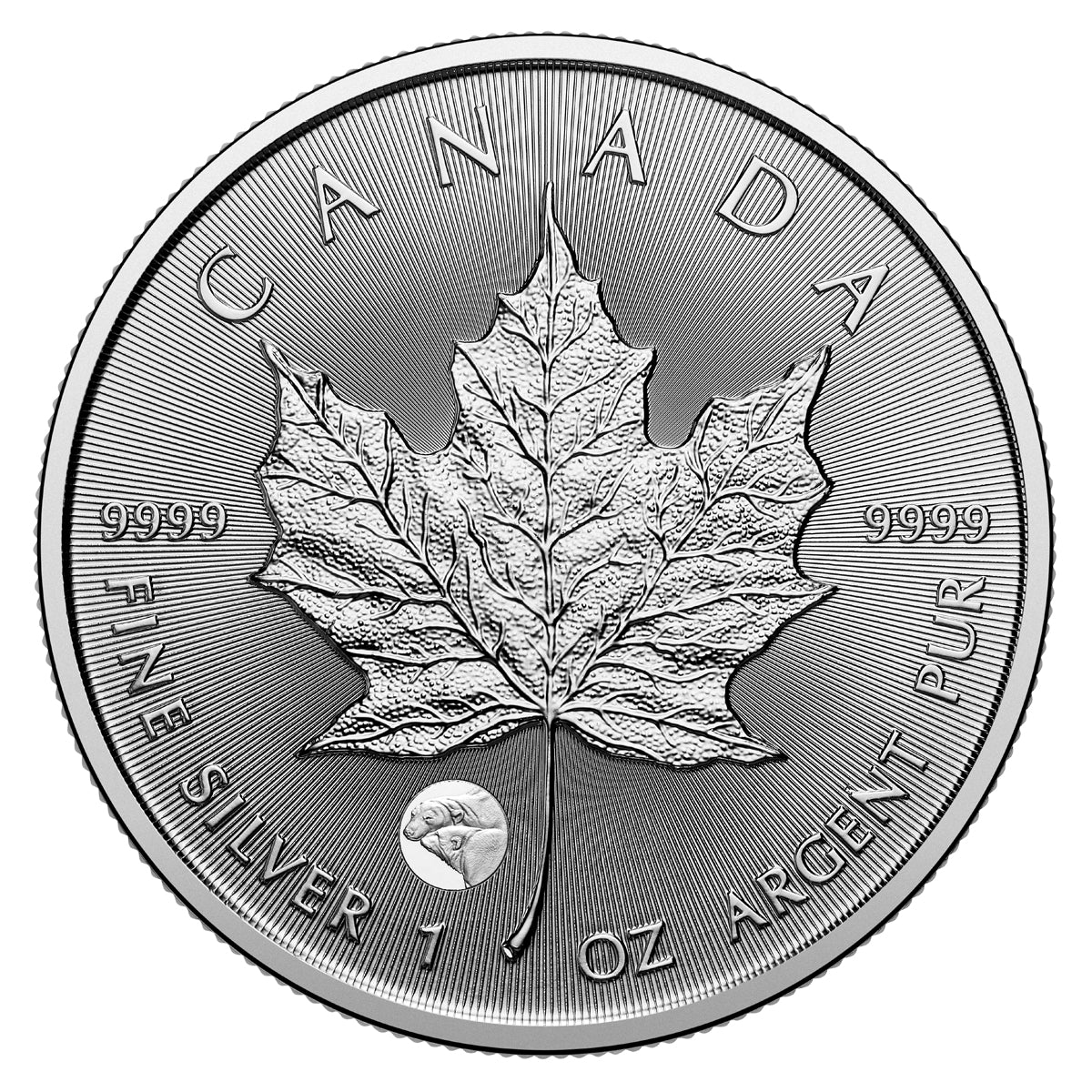 2025 $5 Treasured Silver Maple Leaf: Polar Bears Privy Mark - Pure Silver Coin