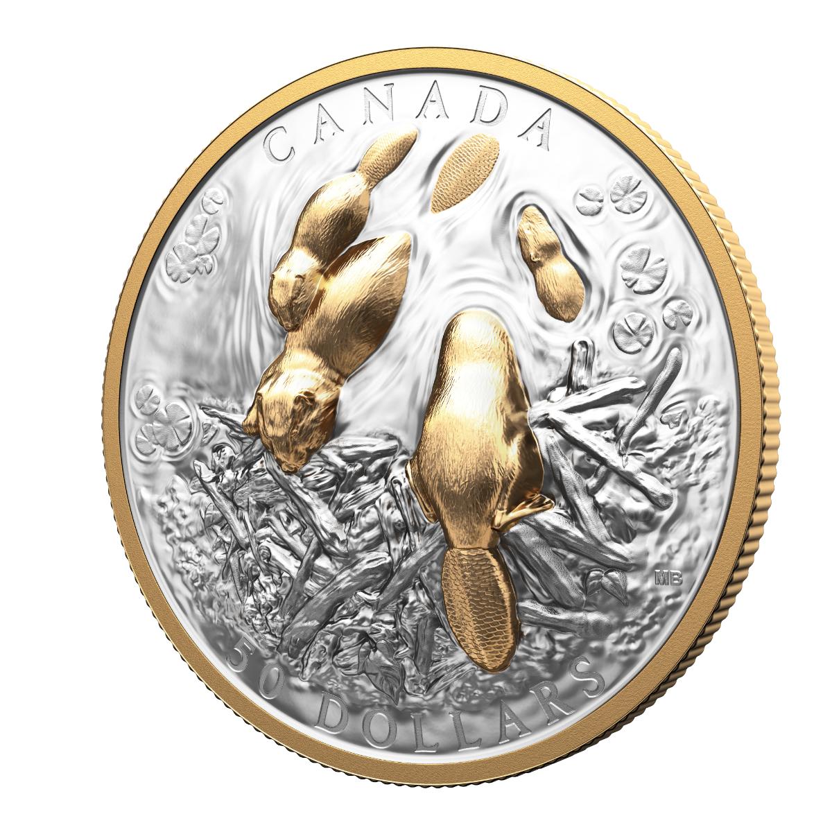 2025 $50 Canadian Symbol: The Beaver - Pure Silver Coin