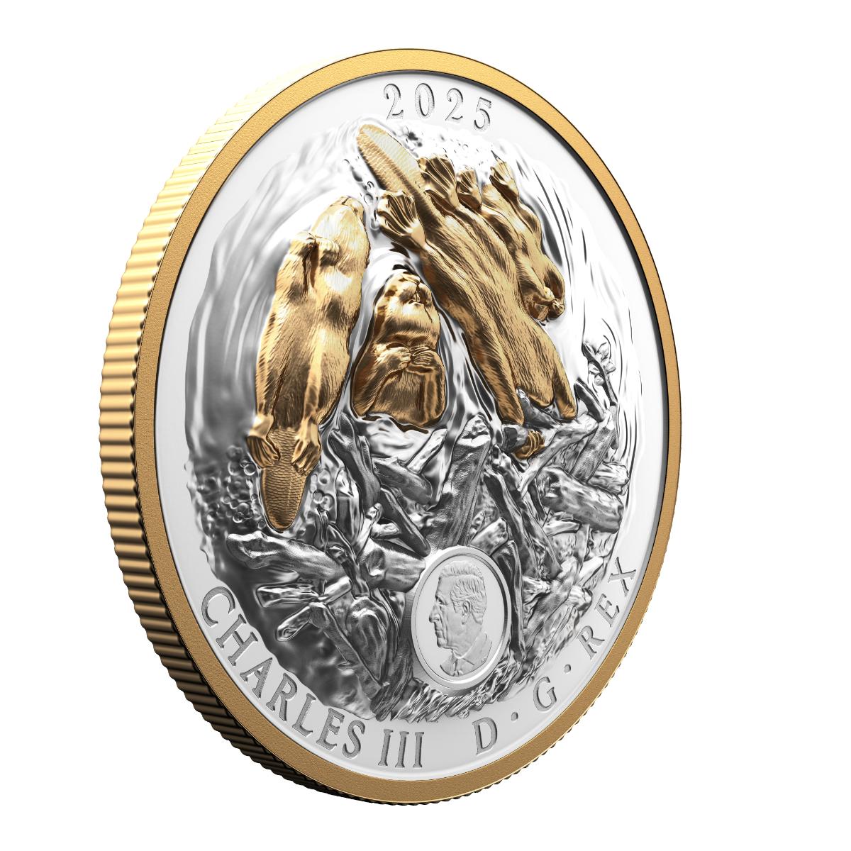 2025 $50 Canadian Symbol: The Beaver - Pure Silver Coin