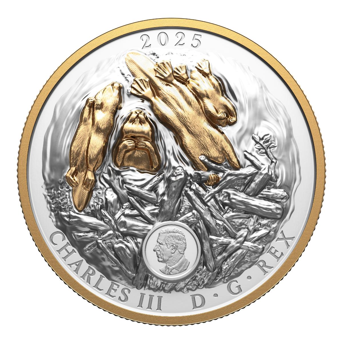 2025 $50 Canadian Symbol: The Beaver - Pure Silver Coin