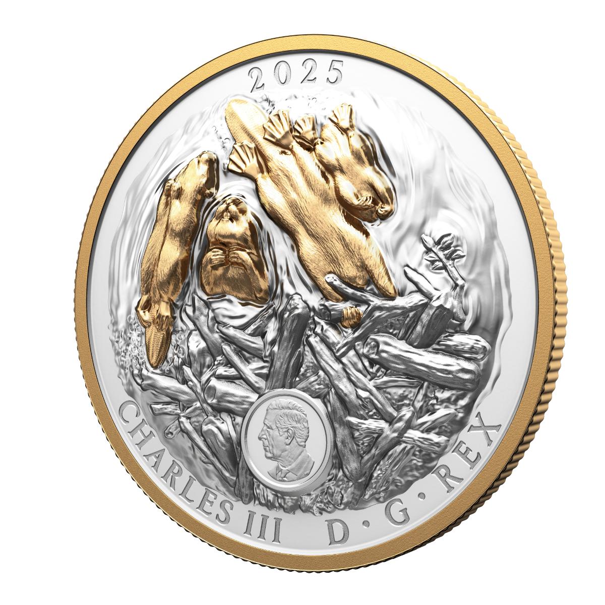 2025 $50 Canadian Symbol: The Beaver - Pure Silver Coin