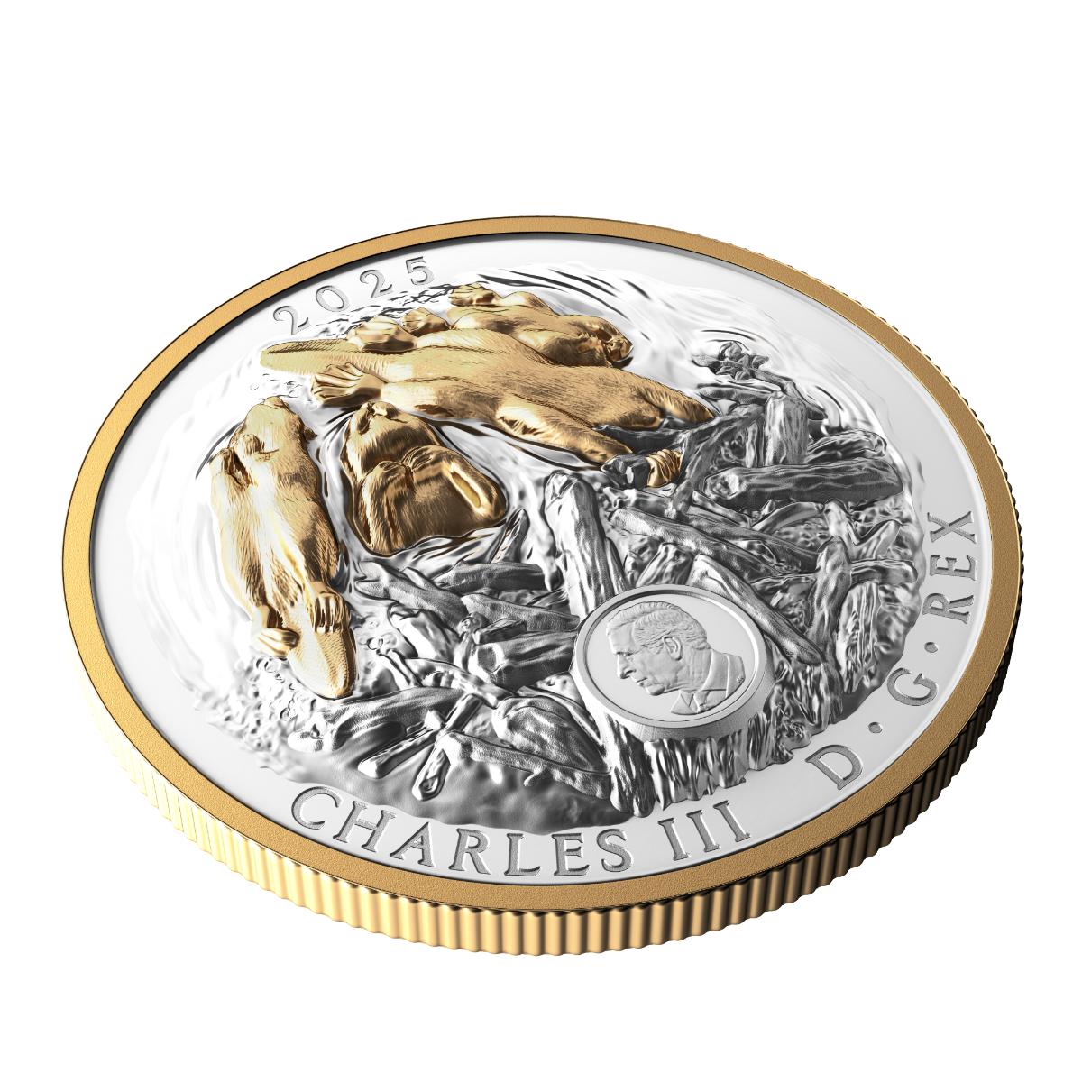 2025 $50 Canadian Symbol: The Beaver - Pure Silver Coin