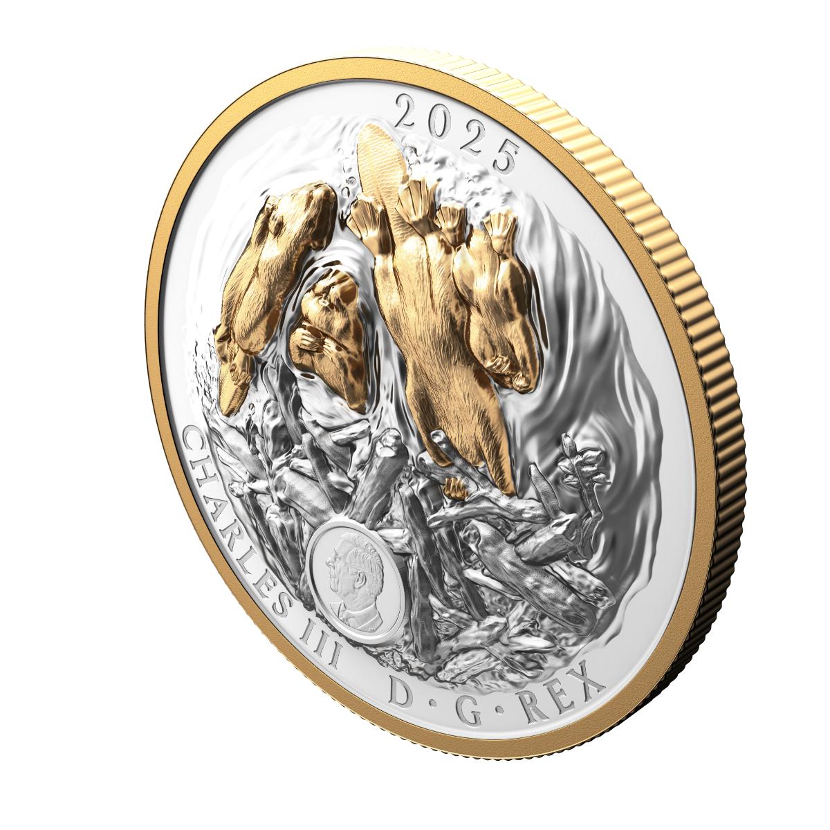 2025 $50 Canadian Symbol: The Beaver - Pure Silver Coin